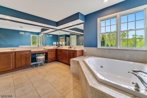 22 Patrick Henry Place Raritan NJ 08551