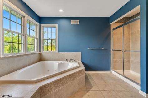 22 Patrick Henry Place Raritan NJ 08551