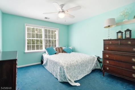 5 Homestead Road Frelinghuysen NJ 07821