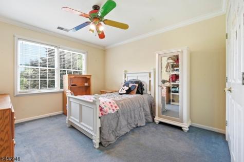 5 Homestead Road Frelinghuysen NJ 07821