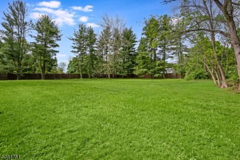1 White Deer Lane Harding NJ 07976