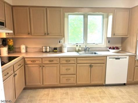 156 Goltra Drive Bernards NJ 07920