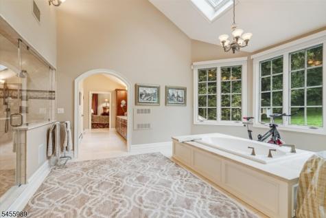 6 Hickory Drive Chester NJ 07930