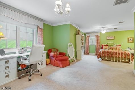 6 Hickory Drive Chester NJ 07930