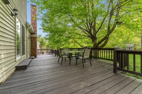 4 Drake Court Holland NJ 08848
