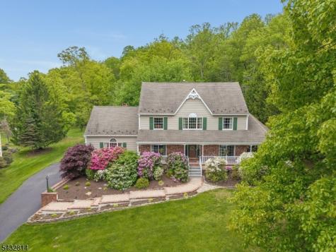 4 Drake Court Holland NJ 08848