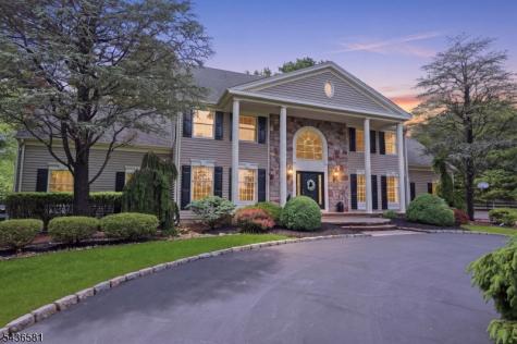 9 Proprietor Lane Readington NJ 08889