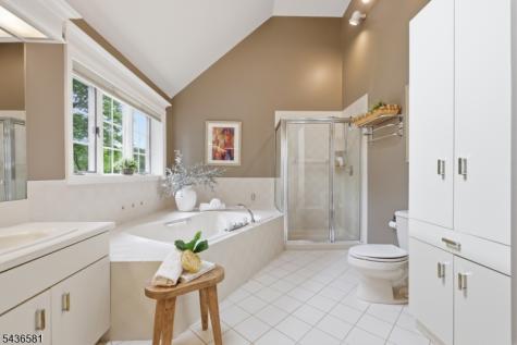 9 Proprietor Lane Readington NJ 08889