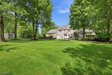 9 Proprietor Lane Readington NJ 08889