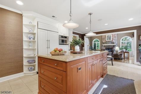 9 Proprietor Lane Readington NJ 08889