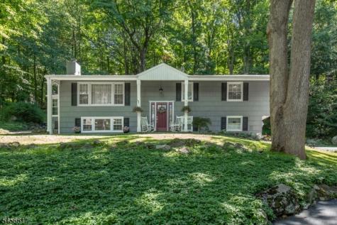 81 Academy Street Califon NJ 07830