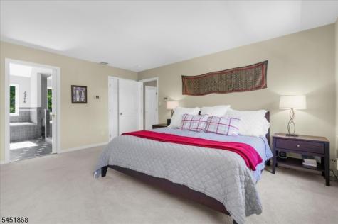 15 Austin Hill Road Clinton NJ 08809