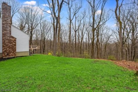 31 Warren Cutting Chester NJ 07930