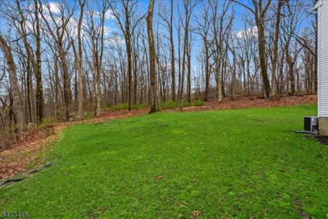 31 Warren Cutting Chester NJ 07930