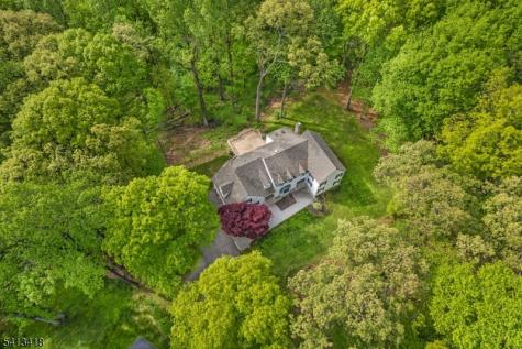 31 Warren Cutting Chester NJ 07930