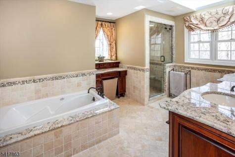 5 Green Hill Road Chester NJ 07930