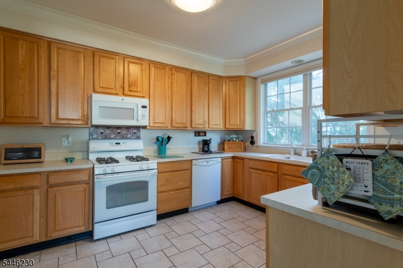 5 Newell Street Hillsborough NJ 08844