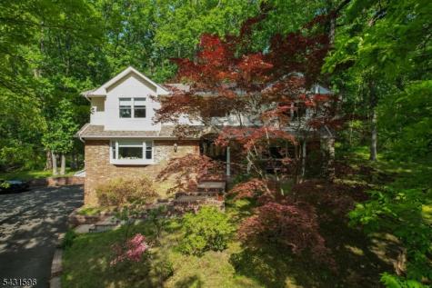 17 Drift Road Watchung NJ 07069