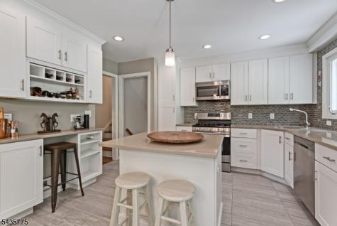 45 Molly Stark Drive Morris NJ 07960
