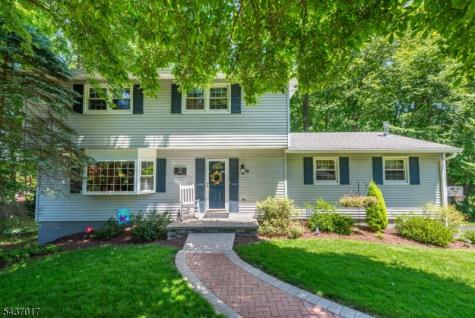 10 Brittany Road Roxbury NJ 07876