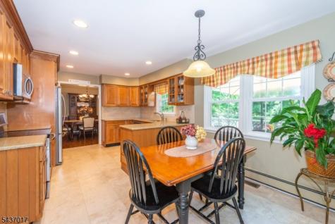 10 Brittany Road Roxbury NJ 07876