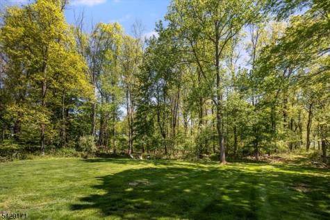 3 Laurel Place Chester NJ 07930