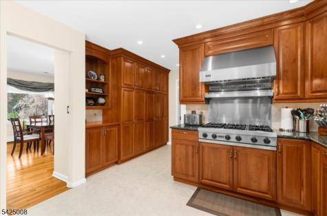 6 Camila Drive Franklin NJ 08867