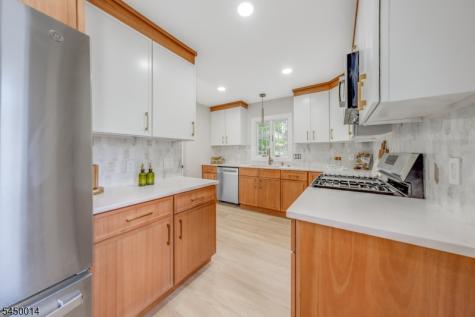 36 Minton Avenue Chatham NJ 07928