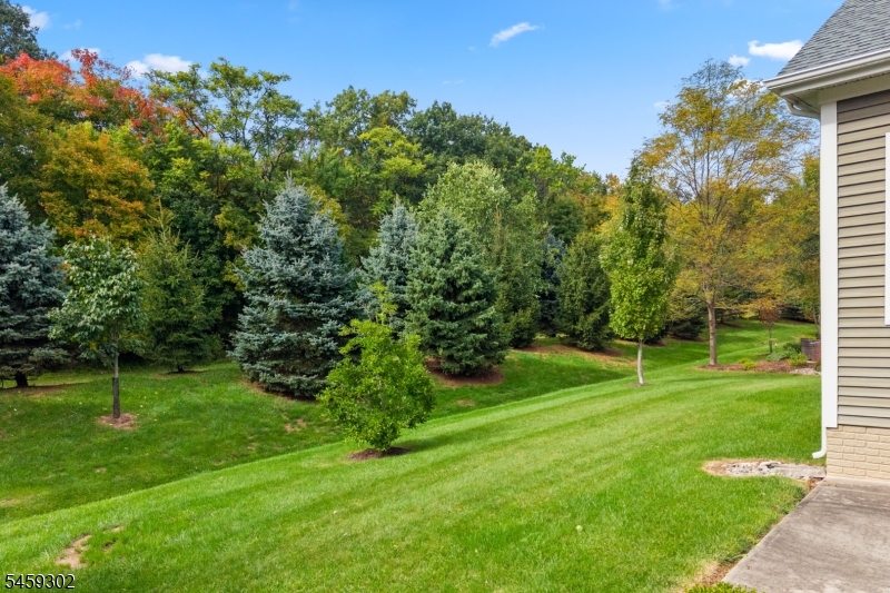 7 Portland Drive Montgomery NJ 08558