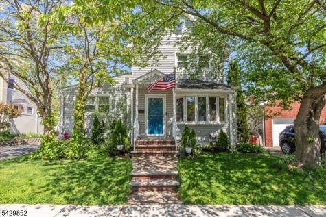 613 Maplewood Avenue Roselle Park NJ 07204