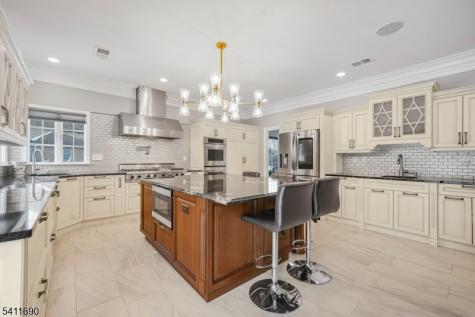 4 Buck Run Court Montville NJ 07082