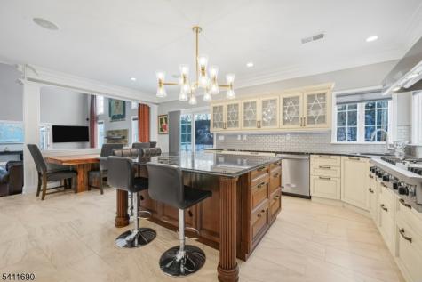 4 Buck Run Court Montville NJ 07082
