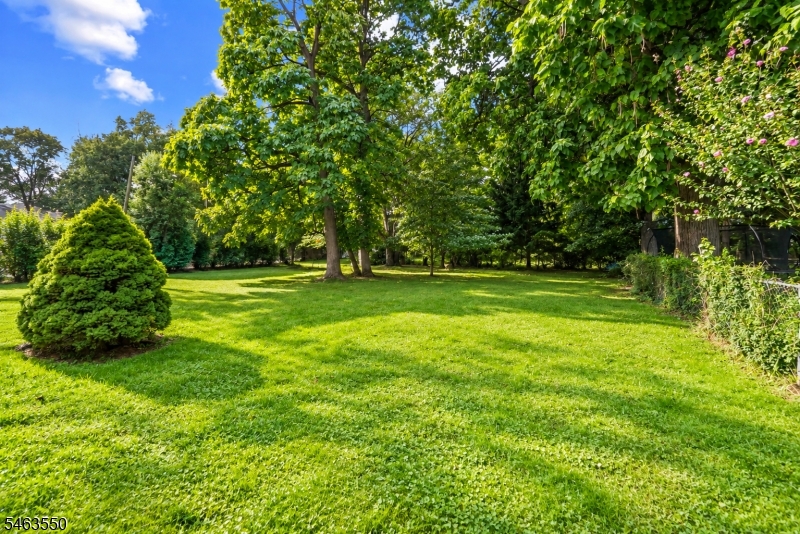 20 Wilson Avenue Totowa NJ 07512