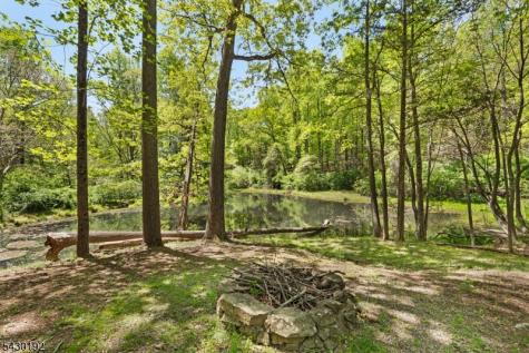 23 Saddle Hill Road Mendham NJ 07931