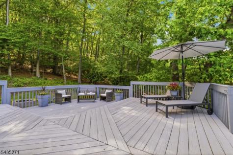 63 Mountainside Drive Randolph NJ 07869