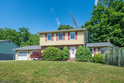 4 Hover Drive Mount Arlington NJ 07856