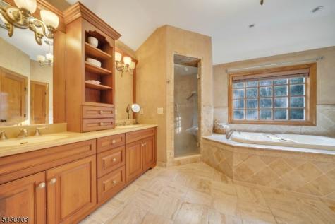 20 Diann Drive Montville NJ 07045