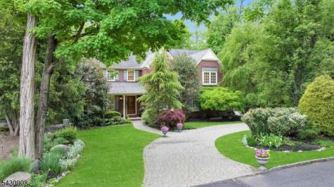 20 Diann Drive Montville NJ 07045