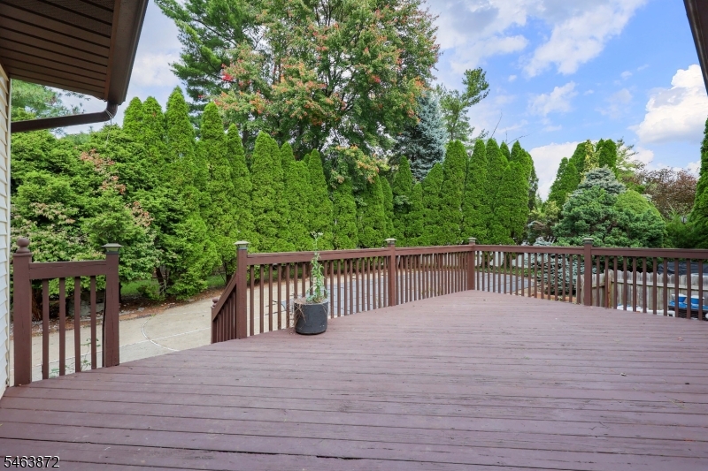 77 Schwin Drive Clark NJ 07066