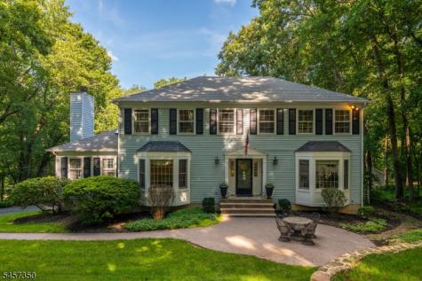 4 Fern Court Roxbury NJ 07836