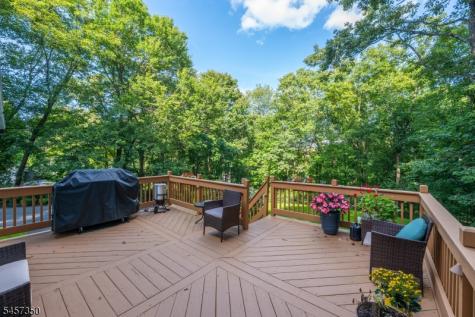 4 Fern Court Roxbury NJ 07836