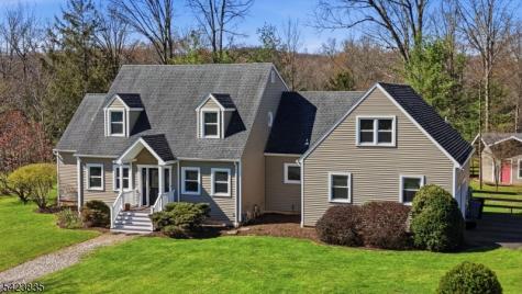 3 Brown Court Clinton NJ 08801