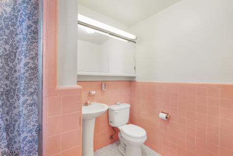 11 Hamilton Drive East North Caldwell NJ 07006