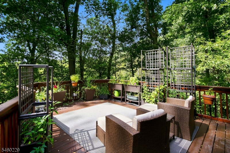 10 Ames Road Morris NJ 07960