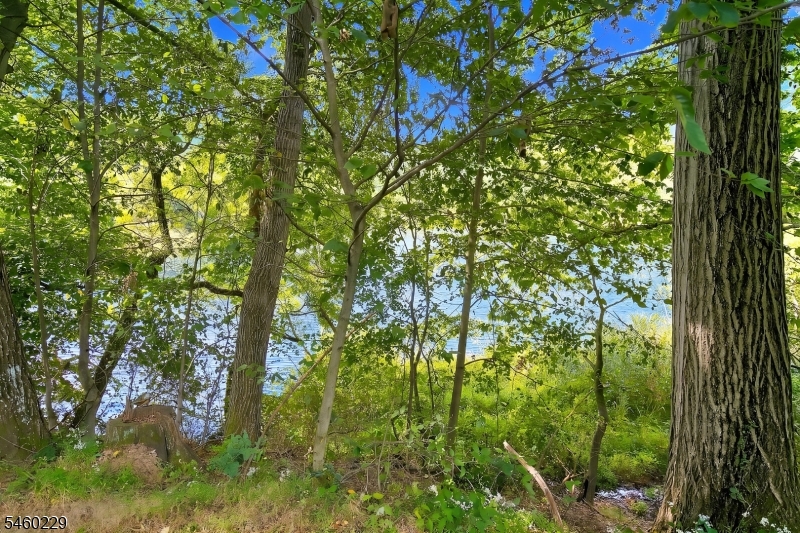 10 Ames Road Morris NJ 07960