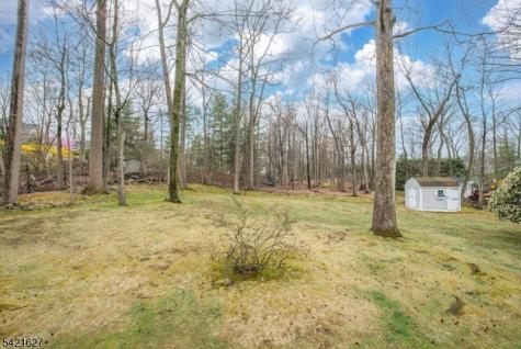 4 Oak Ridge North Caldwell NJ 07006