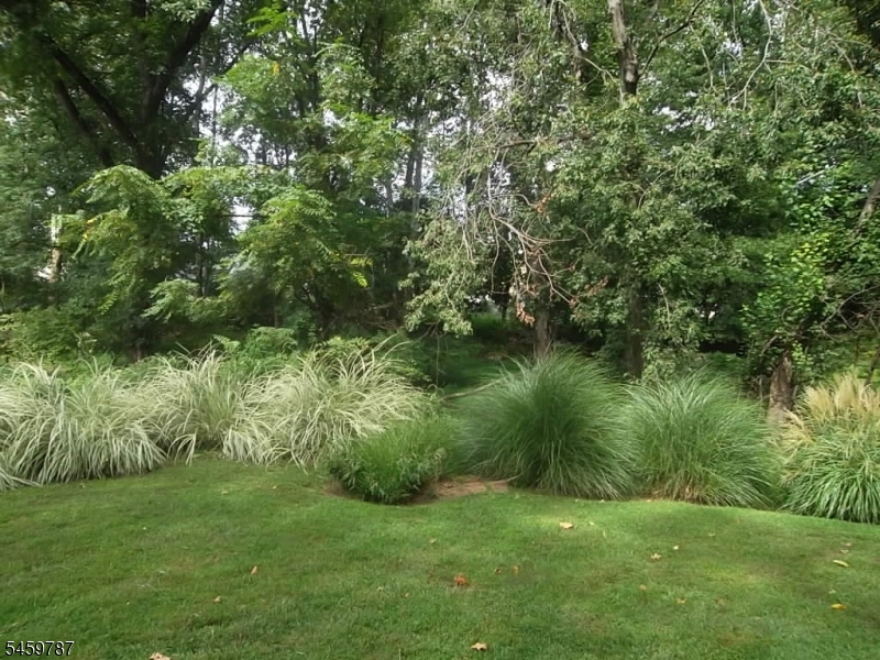 1455 Brookside Drive Union NJ 07083