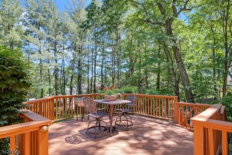 10 Moonshadow Court Kinnelon NJ 07405