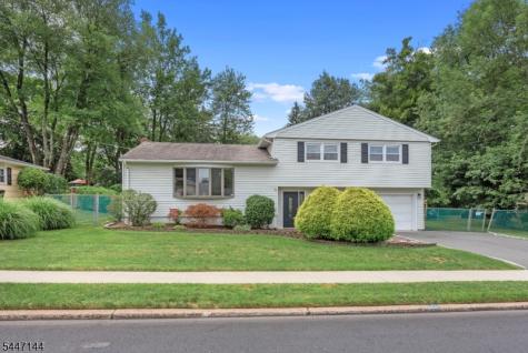 211 Park Avenue Emerson NJ 07630