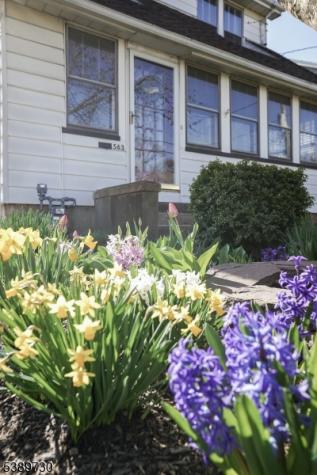 563 Pierson Street Westfield NJ 07090